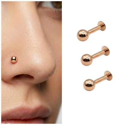 Rose    Artificial Gold Flat Back Labret Stud nosepin Laung Koka Nathni combo pack of 2